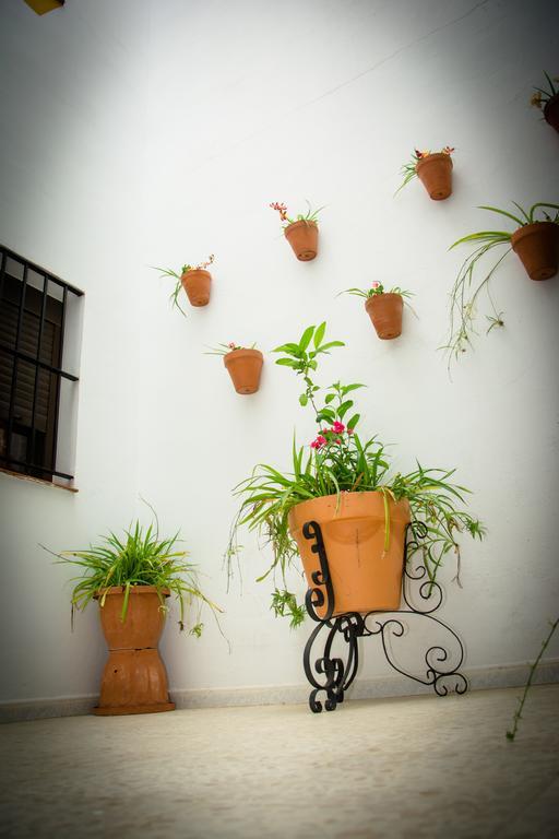 קוניל דה לה פרונטרה Hostal Malia מראה חיצוני תמונה